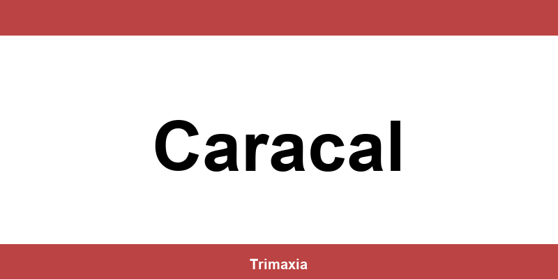 Informații de contact ale depozitului Sameday în Caracal